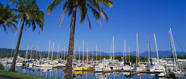 gold coast