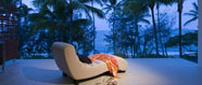 palm cove