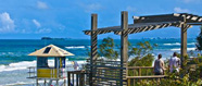sunshine coast